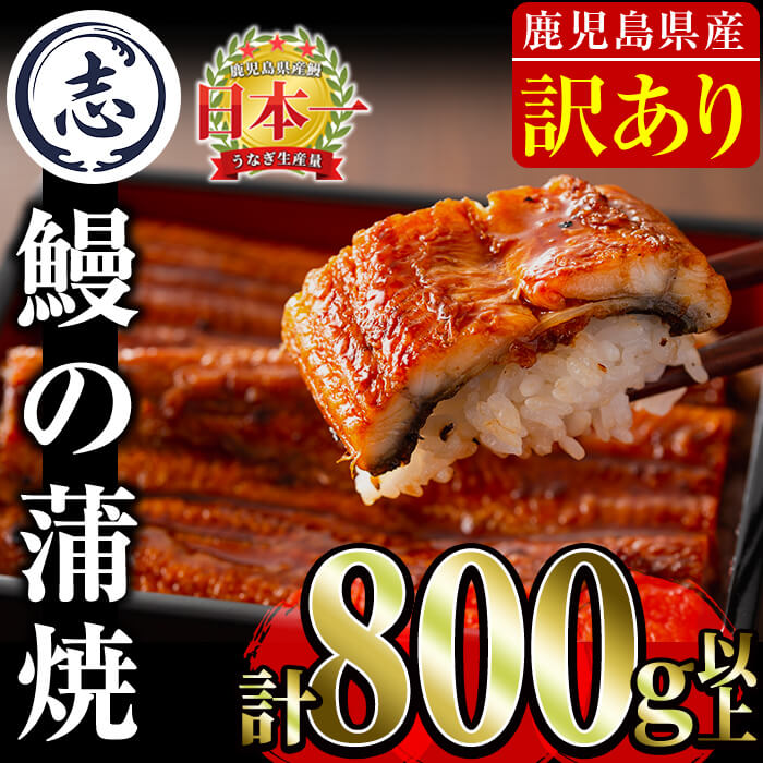 【ふるさと納税】【訳あり・数量限定・期間限定】復活!不揃いのうなぎ達(鹿児島県産 鰻の蒲焼き)＜計800g以上＞ うなぎ 鰻 ウナギ 不揃い ふぞろい 訳アリ 国産 九州産 蒲焼 かばやき 人気 うな重・ひつまぶし 【鹿児島鰻】b2-040