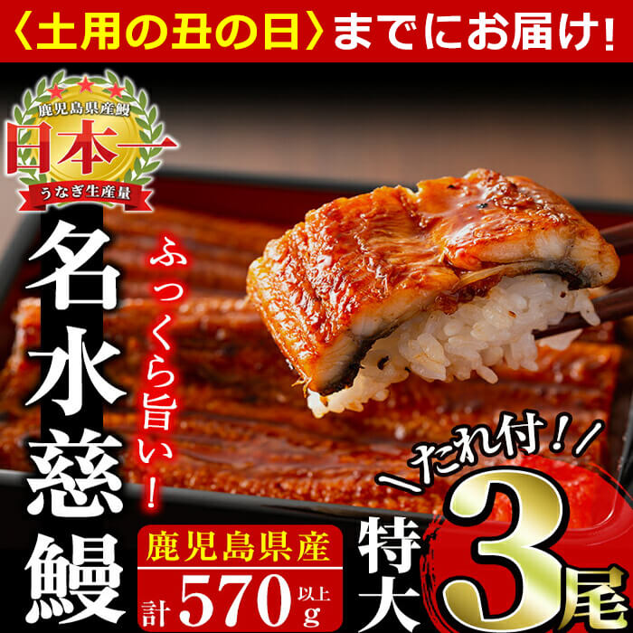 【ふるさと納税】【7/7までの入金で丑の日までにお届け】うなぎ養殖日本一！鹿児島県産うなぎ蒲焼 名水慈鰻 特大3尾(1尾190g以上)＜計570g以上＞たれ・山椒付き 鰻 ウナギ 3尾 国産 蒲焼 かばやき 冷凍 真空 真空パック 無頭 うな重 ひつまぶし【鹿児島鰻】