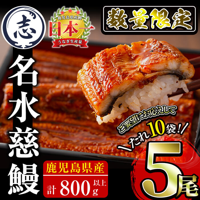 【ふるさと納税】【数量限定】鹿児島県産うなぎ蒲焼 名水慈鰻5尾(計800g以上・1尾あたり160g～190g以上) 鰻 ウナギ 5尾 国産 蒲焼 かばやき 冷凍 うな重 ひつまぶし タレ 山椒 ランキング 人気【鹿児島鰻】c0-124