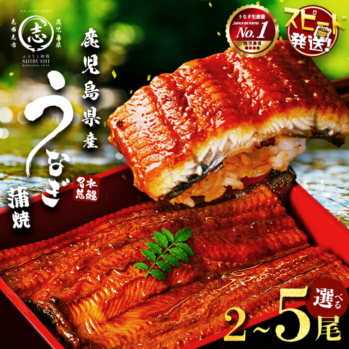 【ふるさと納税】【10営業日以内に発送】【内容量が選べる！】鹿児島県産うなぎ蒲焼 名水慈鰻 2～5尾 (計350g～800g以上) たれ・山椒付き 鰻 ウナギ 2尾 3尾 5尾 国産 蒲焼 冷凍 うな重 ひつまぶし タレ 山椒 ランキング 人気【鹿児島鰻】｜鹿児島県志布志市