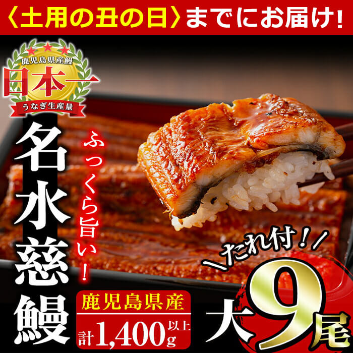 【ふるさと納税】【6/30までの入金で丑の日までにお届け】うなぎ養殖日本一！鹿児島県産うなぎ蒲焼 名水慈鰻大9尾(1尾あたり160g～190g)＜計1400g(1.4kg)以上＞国産ウナギの美味しい蒲焼きをご自宅で♪【鹿児島鰻】e8-001