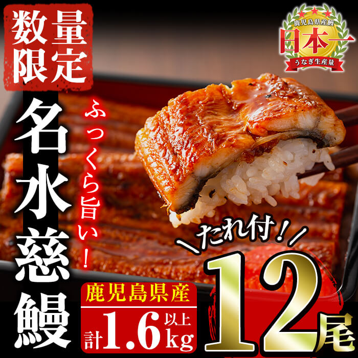 【ふるさと納税】【数量限定】うなぎ養殖日本一！鹿児島県産うなぎ蒲焼 名水慈鰻 12尾(1尾あたり約120g~160g)＜計約1.6kg＞たれ・山椒付き うなぎ 鰻 蒲焼き 鹿児島県産 鹿児島 大容量【鹿児島鰻】f2-003