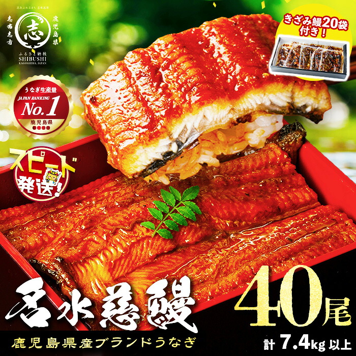 【ふるさと納税】【10営業日以内に発送】うなぎ 養殖日本一！鹿児島県産 うなぎ蒲焼 名水慈鰻 40尾(1尾約160g)・きざみ鰻 20袋(1袋約50g)＜総合計 約7.4kg！＞ うなぎ 鰻 ウナギ 国産 蒲焼き かばやき 冷凍 うな重 人気 大容量 【鹿児島鰻】wb82-001｜鹿児島県志布志市