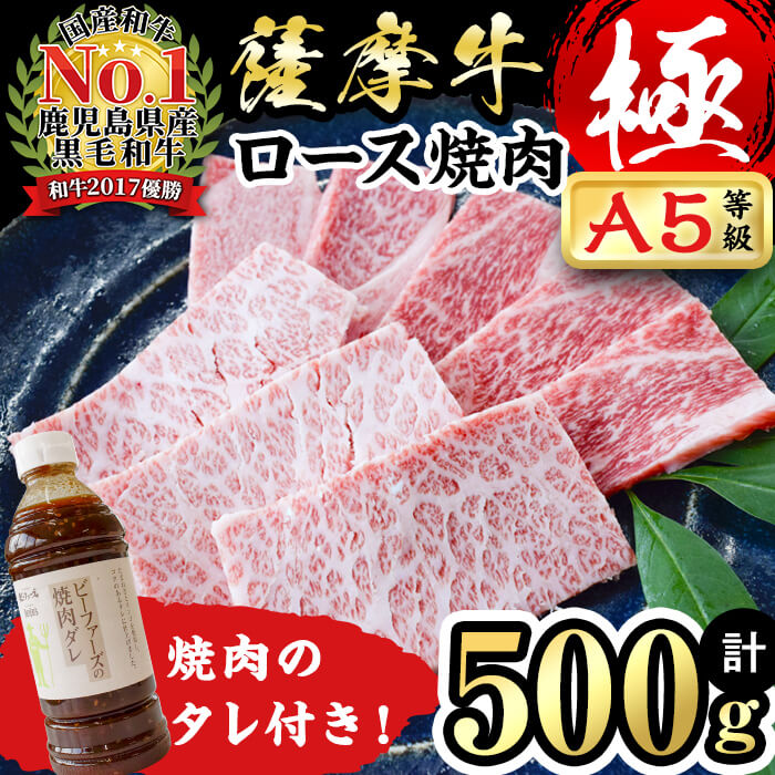 ふるさと納税 鹿児島県プロダクションa5程度 Bms10当番以上 薩摩雌牛 やたら ロース焼肉用向 500g焼肉のたれ運 プライベートブランド 薩摩牛 の中点でも A5 Bms10以上の割増しな鹿児島県産黒毛和牛 薩摩牛極 極秀抜部位で在すロースを贅に焼き肉に カミチク A8 038