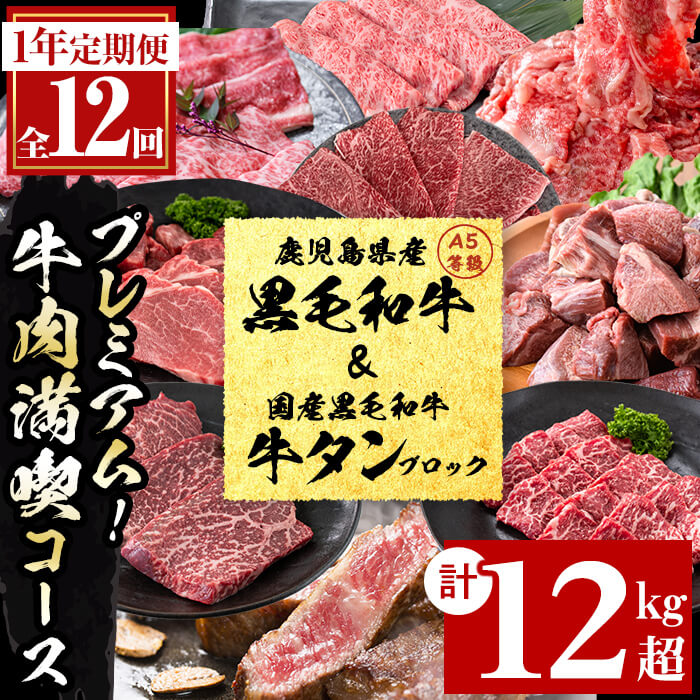 【ふるさと納税】【定期便・全12回】＜A5等級＞鹿児島県産黒毛和牛＆国産牛タン プレミアム！牛肉満喫コース＜計12kg超＞ 定期便 牛肉 肉 1年 12回 12ヶ月 お楽しみ バラエティ 小分け 牛たん すき焼き しゃぶしゃぶ ステーキ 焼肉 セット 頒布会 【カミチク】t026-001