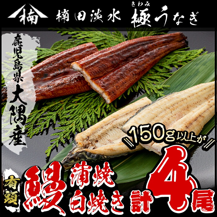 楠田 極うなぎ 蒲焼 300g 白焼き 300g 大隅産  600g