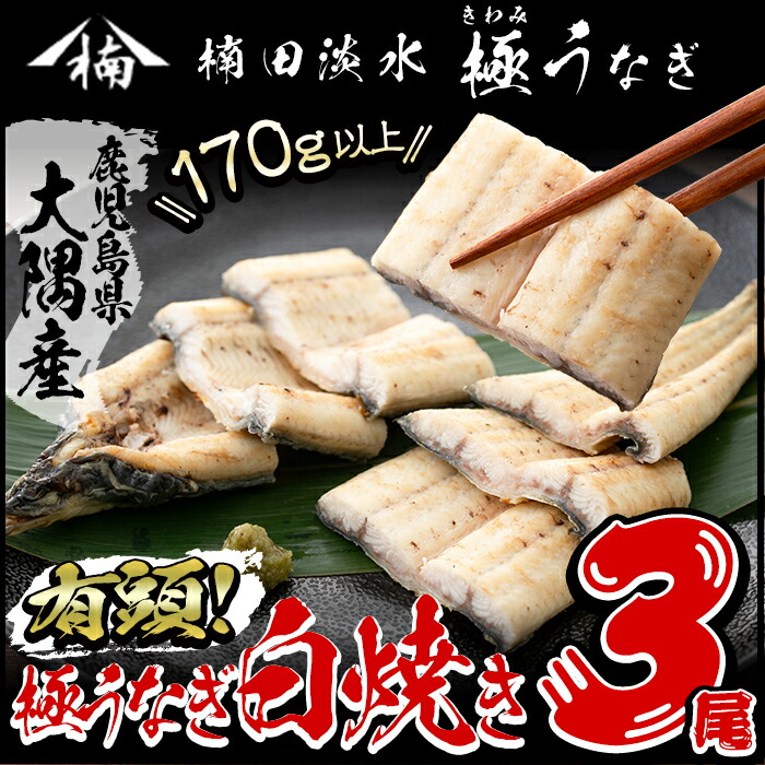新発売の 楽天市場 ふるさと納税 鹿児島県大隅産 楠田の極うなぎ白焼き 3尾 有頭170g以上 3 こだわり真空パックで肉厚の国産鰻をお届け ウナギ本来の旨味を味わえます 楠田淡水 B0 010s 鹿児島県志布志市 現金特価 Lexusoman Com