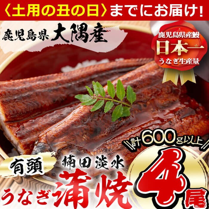 【ふるさと納税】【7/7までの入金で丑の日までにお届け】楠田の極うなぎ蒲焼き150g以上×4尾(計600g以上)箸で切れるほどふっくら柔らか！こだわり抜いて育てたウナギは脂の「甘み」が特徴！鰻のかば焼きたれ・山椒付き！【楠田淡水】b6-011