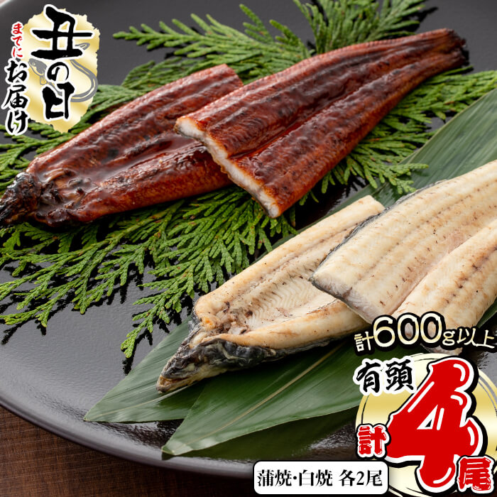 【ふるさと納税】【7/7までの入金で丑の日までにお届け】楠田の極うなぎ蒲焼2尾・白焼き2尾150g以上×4尾(計600g以上)箸で切れるほどふっくら柔らか！脂の「甘み」が特徴！鰻のかば焼きと白焼の食べ比べセット♪【楠田淡水】b6-008