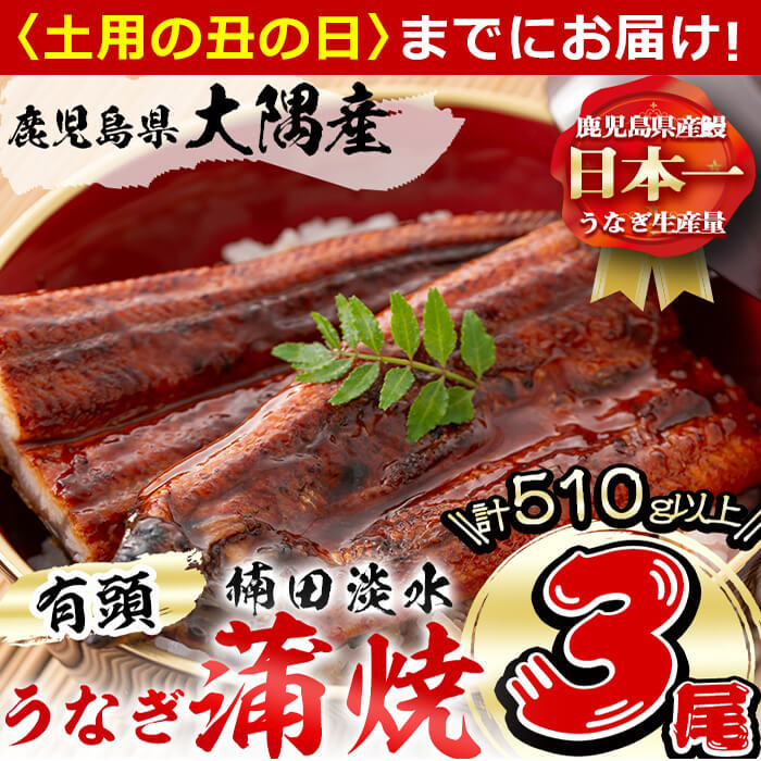 【ふるさと納税】【7/7までの入金で丑の日までにお届け】楠田の極うなぎ蒲焼き170ｇ以上×3尾(計510g以上)箸で切れるほどふっくら柔らか！こだわり抜いて育てたウナギは脂の「甘み」が特徴！鰻のかば焼きたれ・山椒付き！【楠田淡水】b2-010