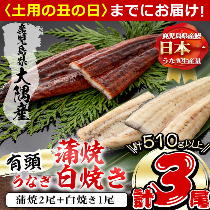 【ふるさと納税】【7/7までの入金で丑の日までにお届け】楠田の極うなぎ蒲焼2尾・白焼き1尾170g以上×3尾(計510ｇ以上)箸で切れるほどふっくら柔らか！脂の「甘み」が特徴！鰻のかば焼きと白焼の食べ比べセット♪【楠田淡水】 b2-011