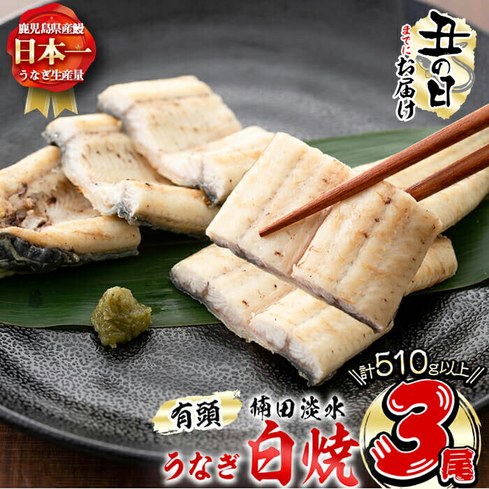 【ふるさと納税】【7/7までの入金で丑の日までにお届け】鹿児島県大隅産！楠田の極うなぎ白焼き 3尾(有頭170g以上×3)こだわり真空パックで肉厚の国産鰻をお届け！ウナギ本来の旨味を味わえます！【楠田淡水】b2-012