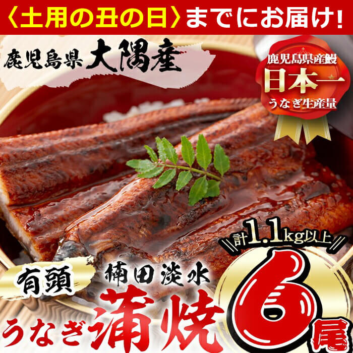 【ふるさと納税】【7/7までの入金で丑の日までにお届け】楠田の極うなぎ蒲焼き190ｇ以上×6尾(計1.1kg以上)箸で切れるほどふっくら柔らか！こだわり抜いて育てたウナギは脂の「甘み」が特徴！鰻のかば焼きたれ・山椒付き！【楠田淡水】e7-018
