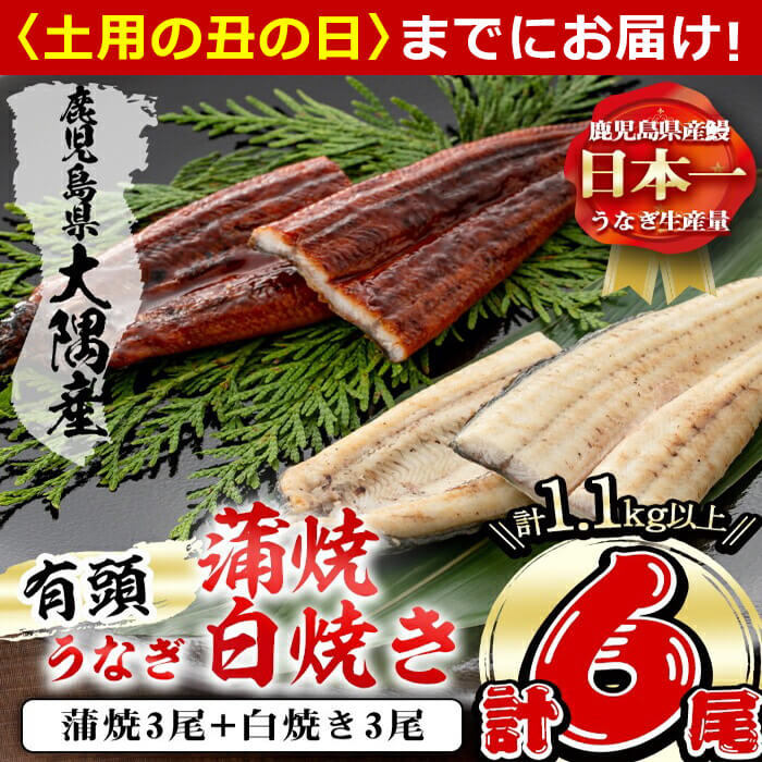 【ふるさと納税】【7/7までの入金で丑の日までにお届け】楠田の極うなぎ蒲焼3尾・白焼き3尾190g以上×6尾(計1.1kg以上)箸で切れるほどふっくら柔らか！脂の「甘み」が特徴！鰻のかば焼きと白焼の食べ比べセット♪【楠田淡水】e7-019