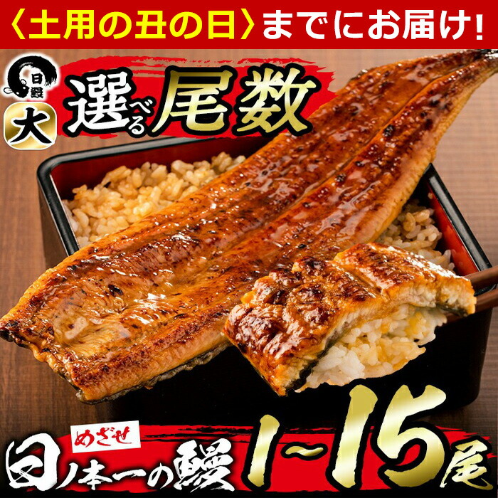 【ふるさと納税】【6/30までの入金で丑の日までにお届け】【尾数が選べる！】＜肝串3本付き！＞うなぎ生産量日本一の鹿児島県産！日ノ本一の鰻の蒲焼き＜大＞1尾～15尾！うなぎ 鰻 ウナギ 1尾 2尾 3尾 5尾 7尾 15尾 蒲焼き かばやき 冷凍 うな重 ひつまぶし タレ【日鰻】