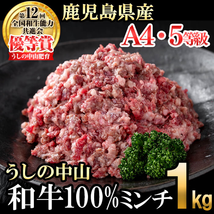 【ふるさと納税】うしの中山 和牛100%ミンチ1kg(500g&times;2袋) 黒毛和牛 和牛 肉 牛肉 国産 九州産 鹿児島県産 ミンチ ひき肉 ハンバーグ 日本一【nixy CHUZAN】 a1-132｜鹿児島県志布志市