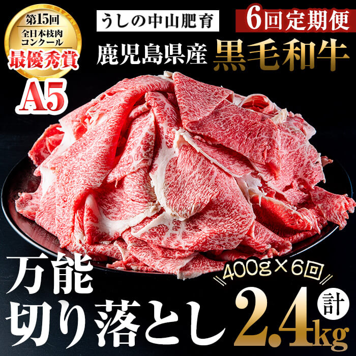 【ふるさと納税】【定期便全6回】＜A4・A5等級＞黒毛和牛堪万能切り落とし肉 計2.4kg（400g×1P・全6回）黒毛和牛 和牛 切り落とし 肉 牛肉 国産 九州産 鹿児島県産 すき焼き しゃぶしゃぶ 牛丼 小分け A5 日本一 ランキング 人気 定期便【nixy CHUZAN】t0072-005