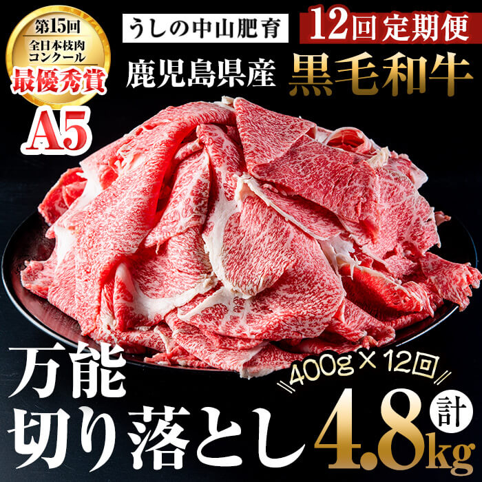 【ふるさと納税】【定期便全12回】＜A4・A5等級＞黒毛和牛堪万能切り落とし肉 計4.8kg（400g×1P・全12回）黒毛和牛 和牛 切り落とし 肉 牛肉 国産 九州産 鹿児島県産 すき焼き しゃぶしゃぶ 牛丼 小分け A5 日本一 ランキング 人気 定期便【nixy CHUZAN】t0144-001 79,200円