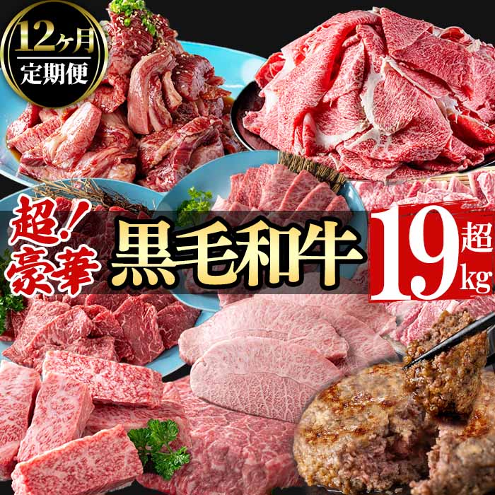 【ふるさと納税】【定期便全12回】超豪華！黒毛和牛堪能贅沢定期便！(総重量19kg超) 鹿児島県産 黒毛和牛 和牛 肉 牛肉 国産 九州産 鹿児島県産 焼肉 BBQ 日本一 ランキング 人気 A4 A5 ステーキ 切り落とし ハンバーグ カルビ ミスジ 訳あり 【nixy CHUZAN】t0365-001