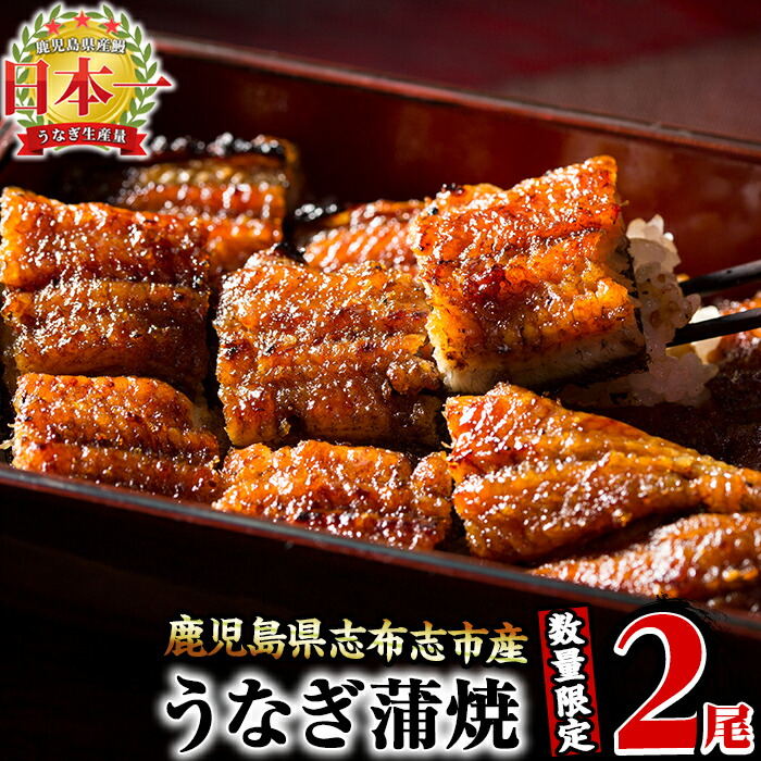 【ふるさと納税】【数量限定】鰻生産量日本一の鹿児島県産！うなぎの大楠＜小＞2尾セット計220g以上(110～129g×2)国産ウナギの蒲焼きを冷凍真空パック・たれ付きでお届け！【大楠鰻】a1-071