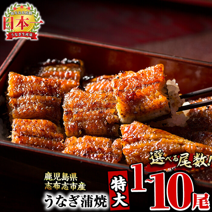 【ふるさと納税】鹿児島県産 うなぎの大楠＜特大＞1尾～10尾！うなぎ 鰻 ウナギ 1尾 3尾 6尾 10尾 国産 九州産 蒲焼き かばやき 冷凍 うな重 ひつまぶし タレ 山椒 真空パック ランキング 人気 【尾数が選べる！】【大楠鰻】