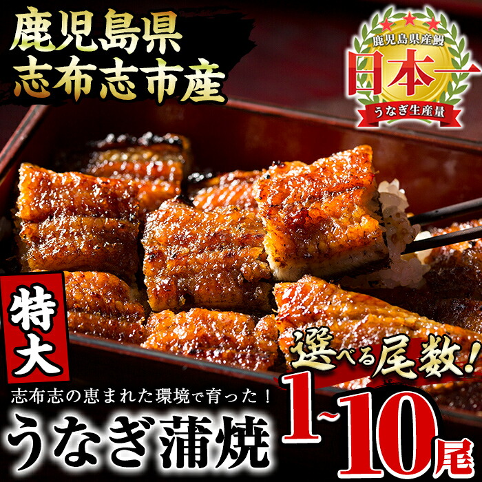 【ふるさと納税】鹿児島県産 うなぎの大楠＜特大＞1尾～10尾！うなぎ 鰻 ウナギ 1尾 3尾 6尾 10尾 国産 九州産 蒲焼き かばやき 冷凍 うな重 ひつまぶし タレ 山椒 真空パック ランキング 人気 【尾数が選べる！】【大楠鰻】｜鹿児島県志布志市