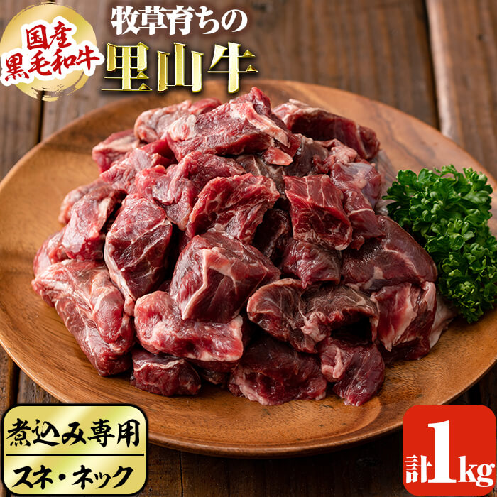 【ふるさと納税】国産黒毛和牛 牧草育ちの里山牛 煮込み専用スネ・ネック計1kg(500g×2パック) 黒毛和牛 和牛 肉 牛肉 国産 スネ ネック 煮込み ブロック 赤身【さかうえ】a9-021