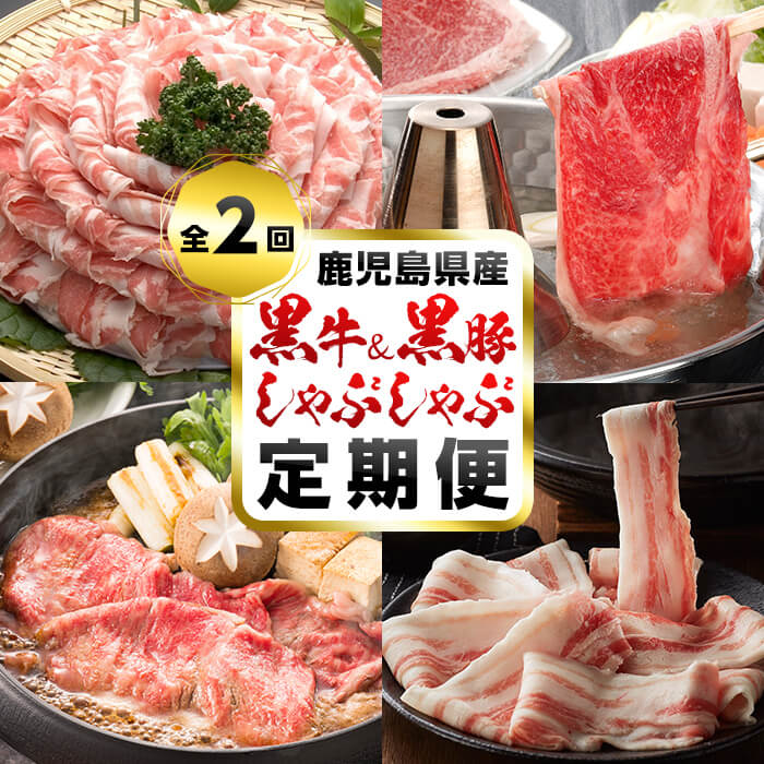 市場 ふるさと納税 A5等級の鹿児島県産黒毛和牛と黒豚のしゃぶしゃぶ定期便 全2回 牛肉は部位おまかせ 総量1.3kg超 豚肉はロース 定期便