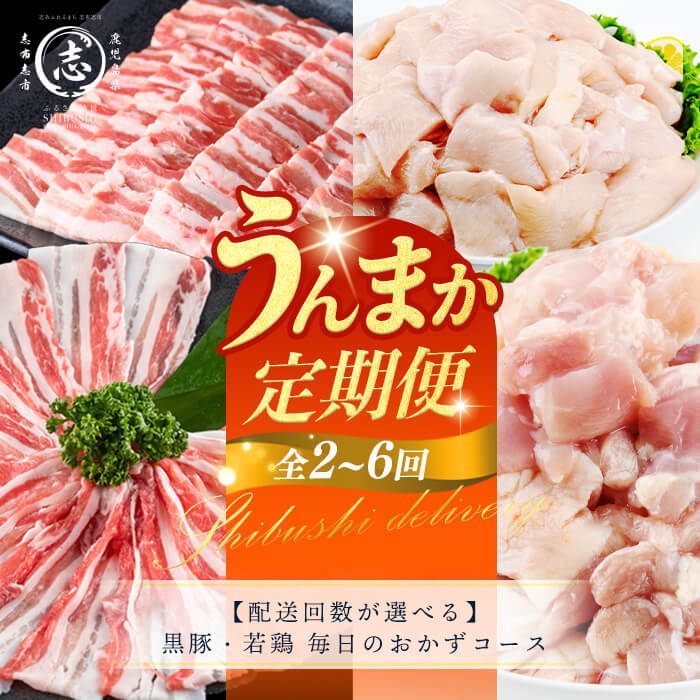 【ふるさと納税】【定期便・配送回数が選べる】鹿児島県産 黒豚・若鶏 毎日のおかずコース！志布志うんまか定期便 国産 豚肉 肉 黒豚 バラ バラ肉 スライス しゃぶしゃぶ 焼肉 鶏肉 とり肉 鳥肉 鶏もも肉 鶏ムネ肉 若鶏 バラエティ セット【ナンチク】【羽根】｜鹿児島県志布志市