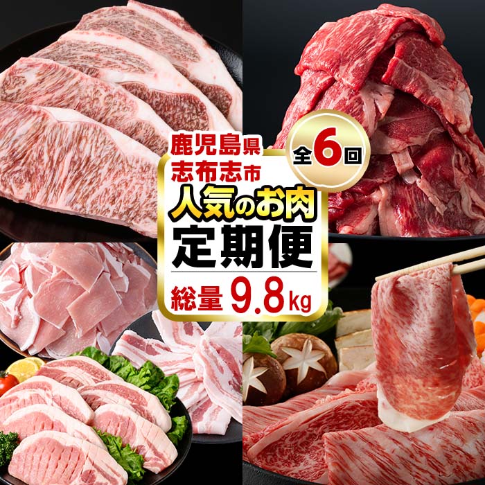 【ふるさと納税】【定期便・全6回】お肉のお楽しみ定期便 総量9.8kg! 牛肉 豚肉 鹿児島県産 九州産 国産 黒毛和牛 ステーキ すきやき しゃぶしゃぶ とんかつ BBQ【サンキョーミート・そお鹿児島・ナンチク】t0119-002