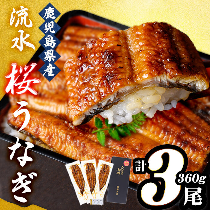 【ふるさと納税】うなぎの柳澤 流水桜うなぎの蒲焼き 計3尾<計360g> うなぎ 鰻 ウナギ 国産 鹿児島県産 九州産 蒲焼き 冷凍 うな重 ひつまぶし【柳沢養鰻】 a4-096|鹿児島県志布志市