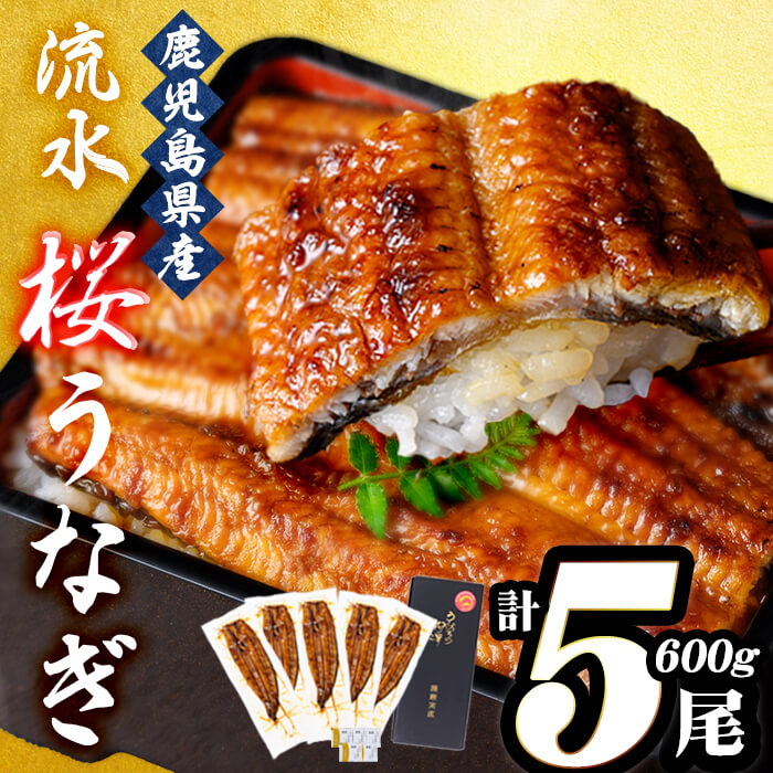 楽天市場】【ふるさと納税】【尾数が選べる！】うなぎの柳澤 流水桜