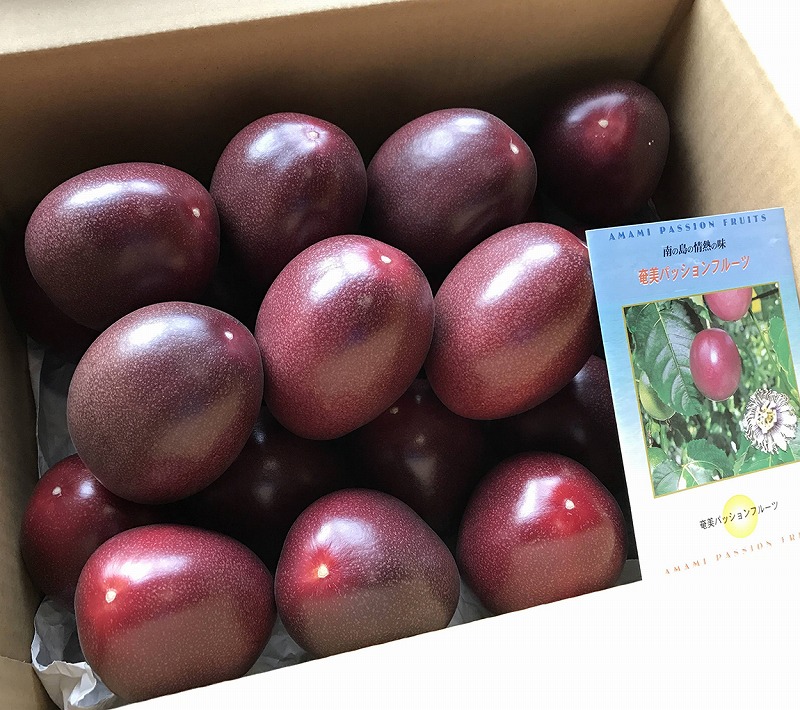 ふるさと納税 奄美大島生じる熱りフルーツざっと Kg Daemlu Cl