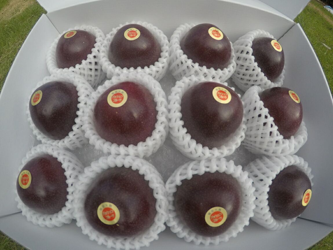 ふるさと納税 奄美の長ける熱りフルーツ12個所得 Atiko Kz