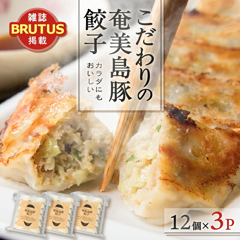 【ふるさと納税】 こだわり の 奄美 島豚 餃子 36個 ギョーザ 焼き餃子 水餃子 大きい 食べ応え おかず つまみ 昼食 夕食 中華 美味しい 国産 BRUTUS お取り寄せ グランプリ 奄美ぐすく農産 奄美直行便 鹿児島 奄美市 おすすめ ランキング プレゼント ギフト