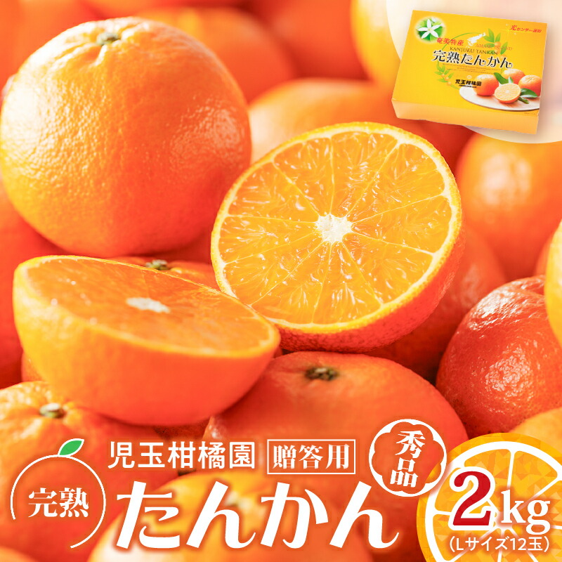 〈直売所最安値〉沖縄やんばる産 タンカンＣ品 約20kg【常温便】①#たんかん 直売所最安値〉沖縄やんばる産 タンカンC品 約20kg【常温便】①