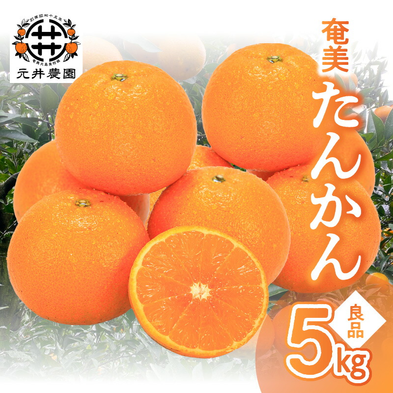 楽天市場】【ふるさと納税】【2026年先行予約分】 甘〜い 奄美たんかん