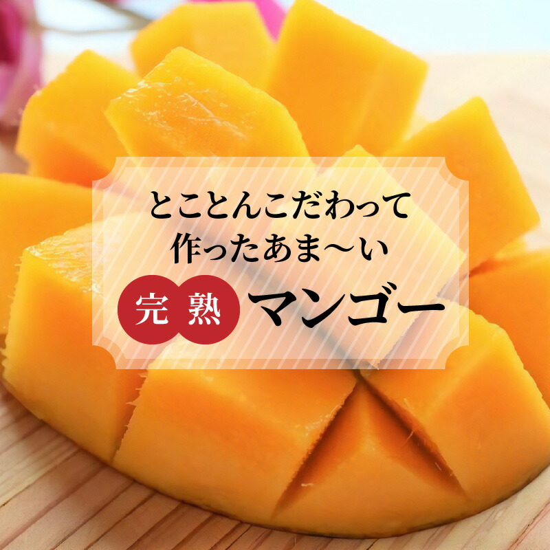 【ふるさと納税】奄美のあま〜い絶品マンゴー900g/優品