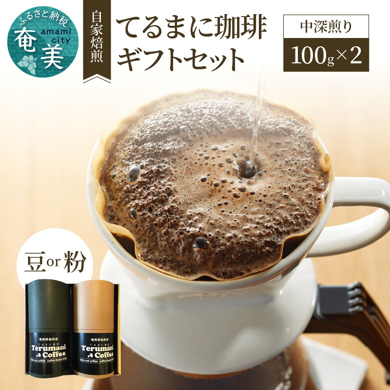 【ふるさと納税】 コーヒー 自家焙煎 スペシャルブレンド ギフト セット 100g 2セット 中深煎り 自家ファーム 国産豆 海外産豆 てるまに珈琲