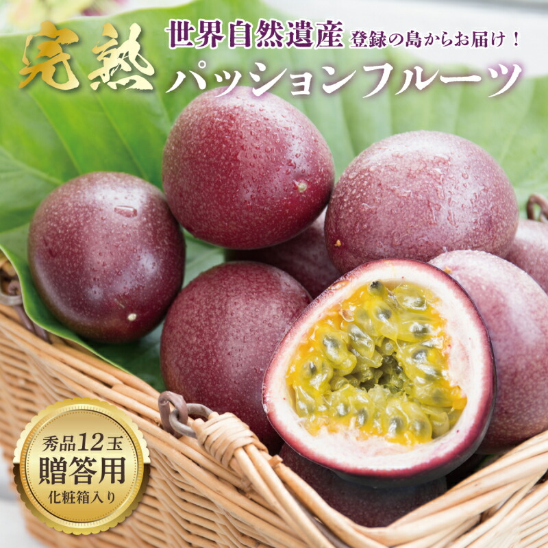 【ふるさと納税】【2025先行予約】 奄美大島産 パッションフルーツ 1kg 12玉  贈答用 化粧箱入り 秀品 パッション フルーツ 果物 トロピカル 南国 甘い 甘味 酸味 追熟 デザート フラスコ ふるさと納税 鹿児島 奄美市 おすすめ ランキング プレゼント ギフト