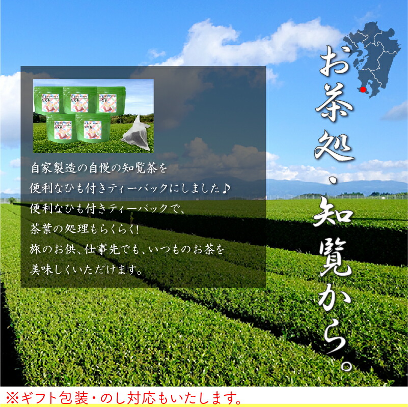 新しいコレクション 片野坂製茶 知覧茶煎茶ティーパック 鹿児島県南九州市 新しいコレクション Www Ape Deutschland De