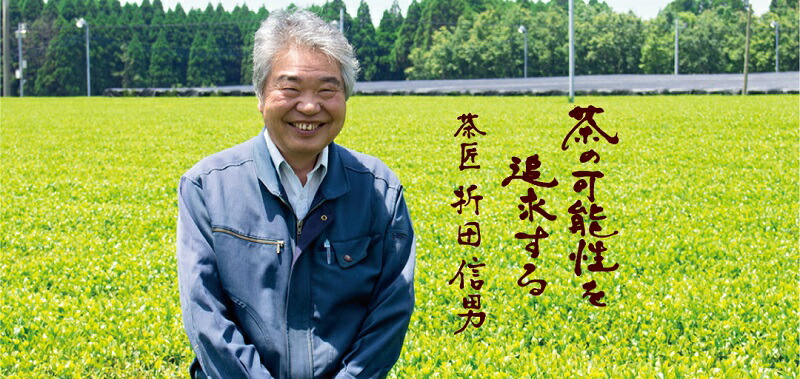 【ふるさと納税】おりたの特別栽培知覧茶5本セット