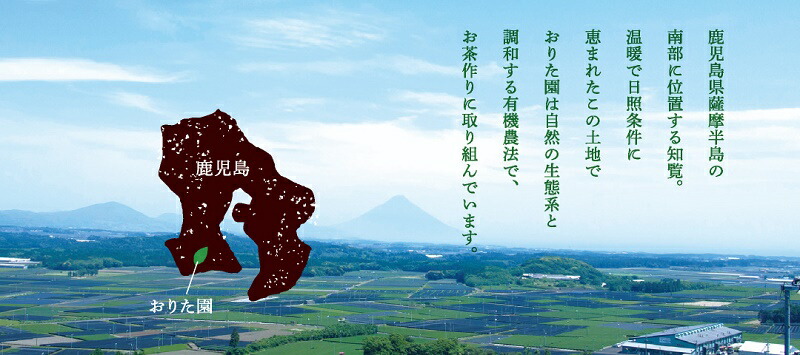 【ふるさと納税】おりたの特別栽培知覧茶5本セット