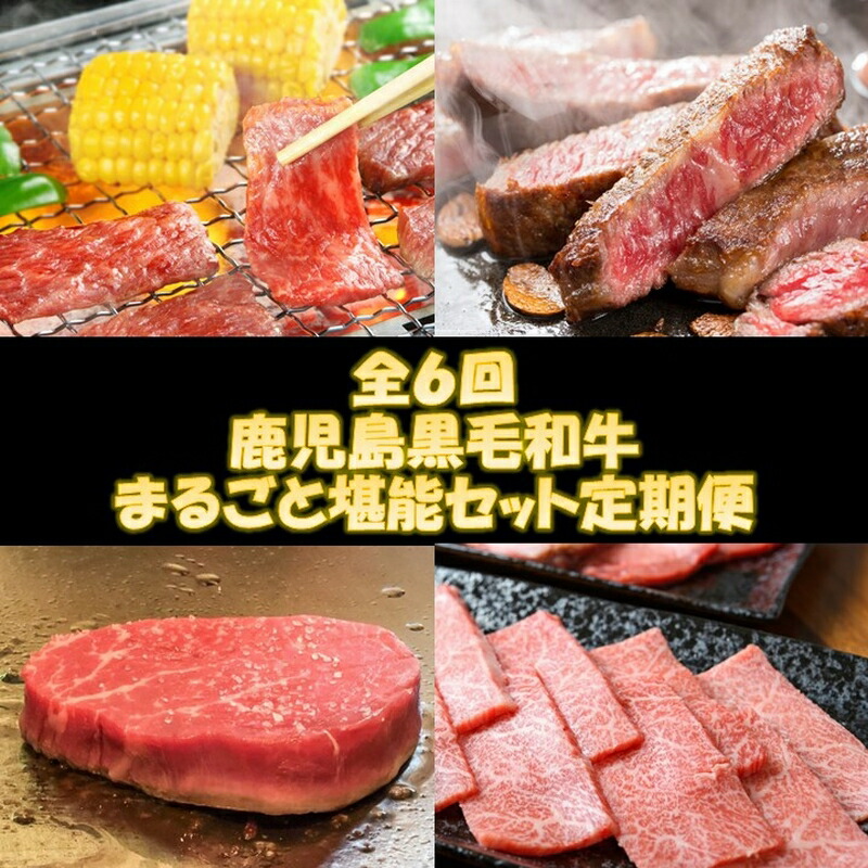 【ふるさと納税】【全6回】鹿児島黒毛和牛まるごと堪能セット定期便