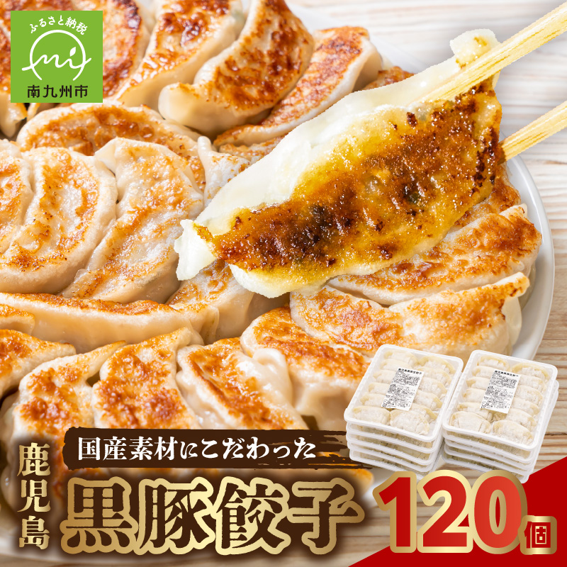 【ふるさと納税】高評価 餃子 黒豚餃子 16g × 12個 × 10パック 計120個 鹿児島黒豚 100% 焼き方 説明書付 しっとり やわらかい 旨味 ジューシー さっぱり 味わい 国産 厳選 素材 あふれる肉汁 もちもち おつまみ 惣菜 おかず お取り寄せ グルメ 鹿児島県 南九州市 送料無料