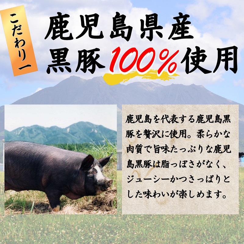 楽天市場 ふるさと納税 国産素材にこだわった鹿児島黒豚餃子1個 鹿児島県南九州市