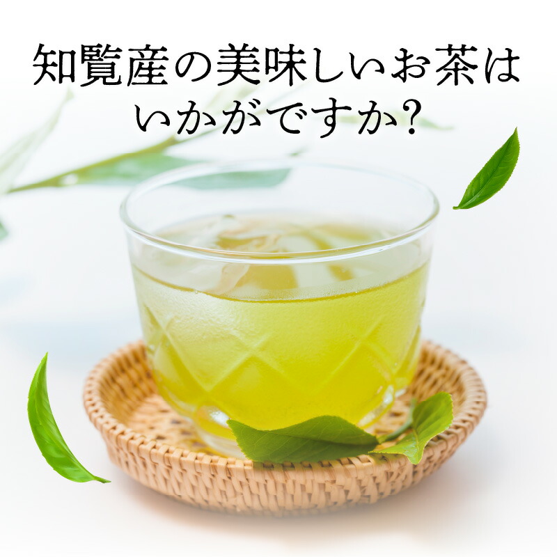 最大79%OFFクーポン 水出し緑茶ティーバッグ100個入 fucoa.cl