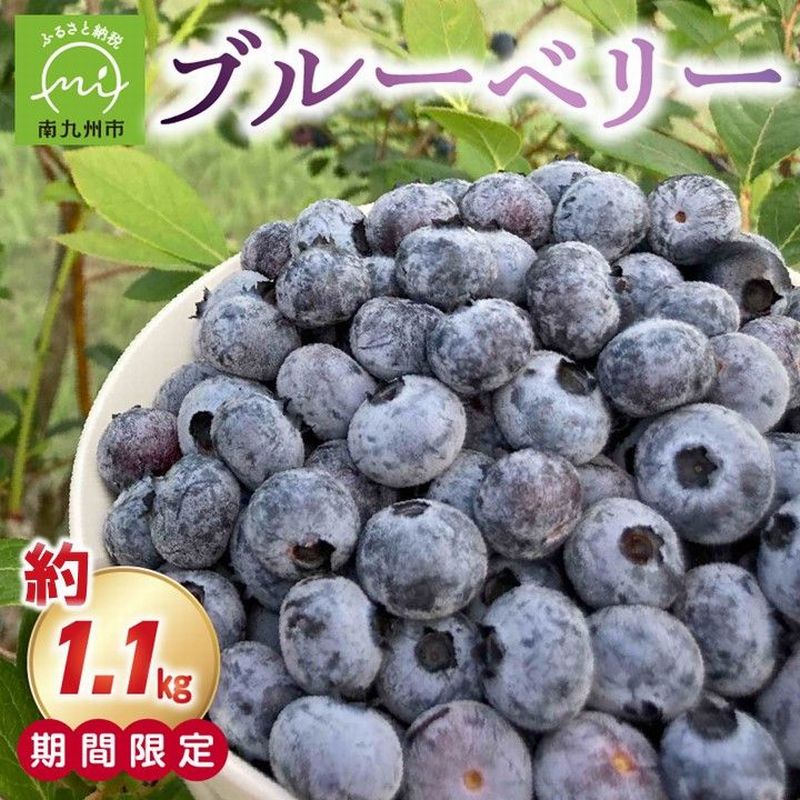 【ふるさと納税】期間限定！とれたて新鮮ブルーベリー約1.1kg ブルーベリー 果物 食べごろ 新鮮 フルーツ  期間限定 鹿児島県産 南九州市 送料無料