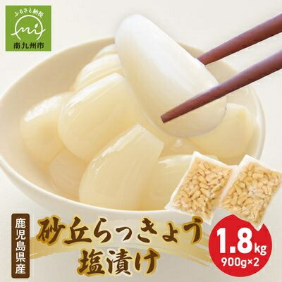 楽天市場】【ふるさと納税】鹿児島県産砂丘らっきょう塩漬け1.8キロ