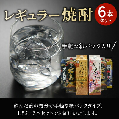 【ふるさと納税】紙パック入 レギュラー焼酎 1.8L×6本セット【1186270】 26,000円